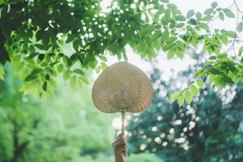 在中国,每一个夏天都有自己的名字夏日长
