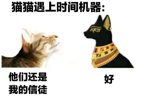 每日一笑考试时的你试图回想起你在前一天晚上复习过的内容
