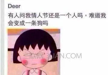 情人节搞笑图片大全
