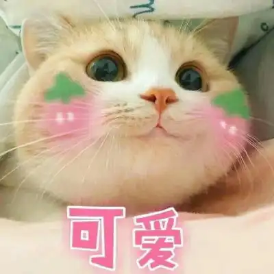 qq微信表情微信动态符号表情微信表情图片大全腾牛个性网
