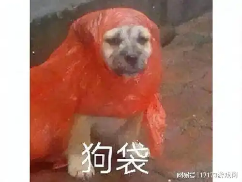 老外也搞这一套赚了77亿的好莱坞ip,改成手游坚挺4年停运了
