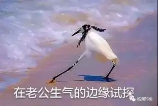 笑掉裤子2017年最火表情包最搞笑图片最没品新闻集锦
