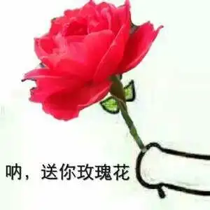 适合单身狗情人节发的表情包今天又要吃一天的狗粮,好酸

