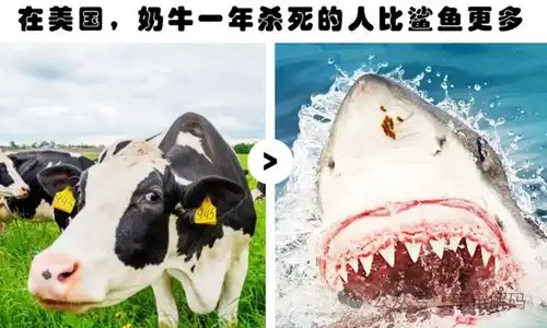 关于大自然,你未必听说过的12个有趣冷知识
