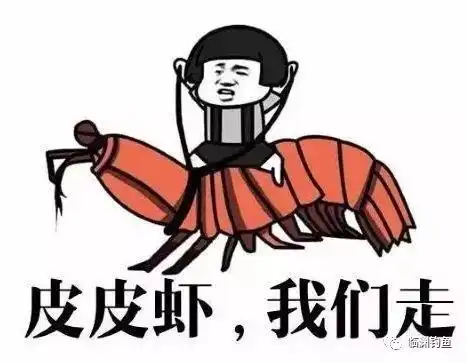笑掉裤子2017年最火表情包最搞笑图片最没品新闻集锦
